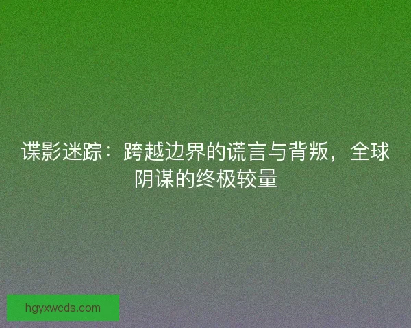 谍影迷踪:跨越边界的谎言与背叛,全球阴谋的终极较量 谍影迷踪:跨越边界的谎言与背叛,全球阴谋的终极较量